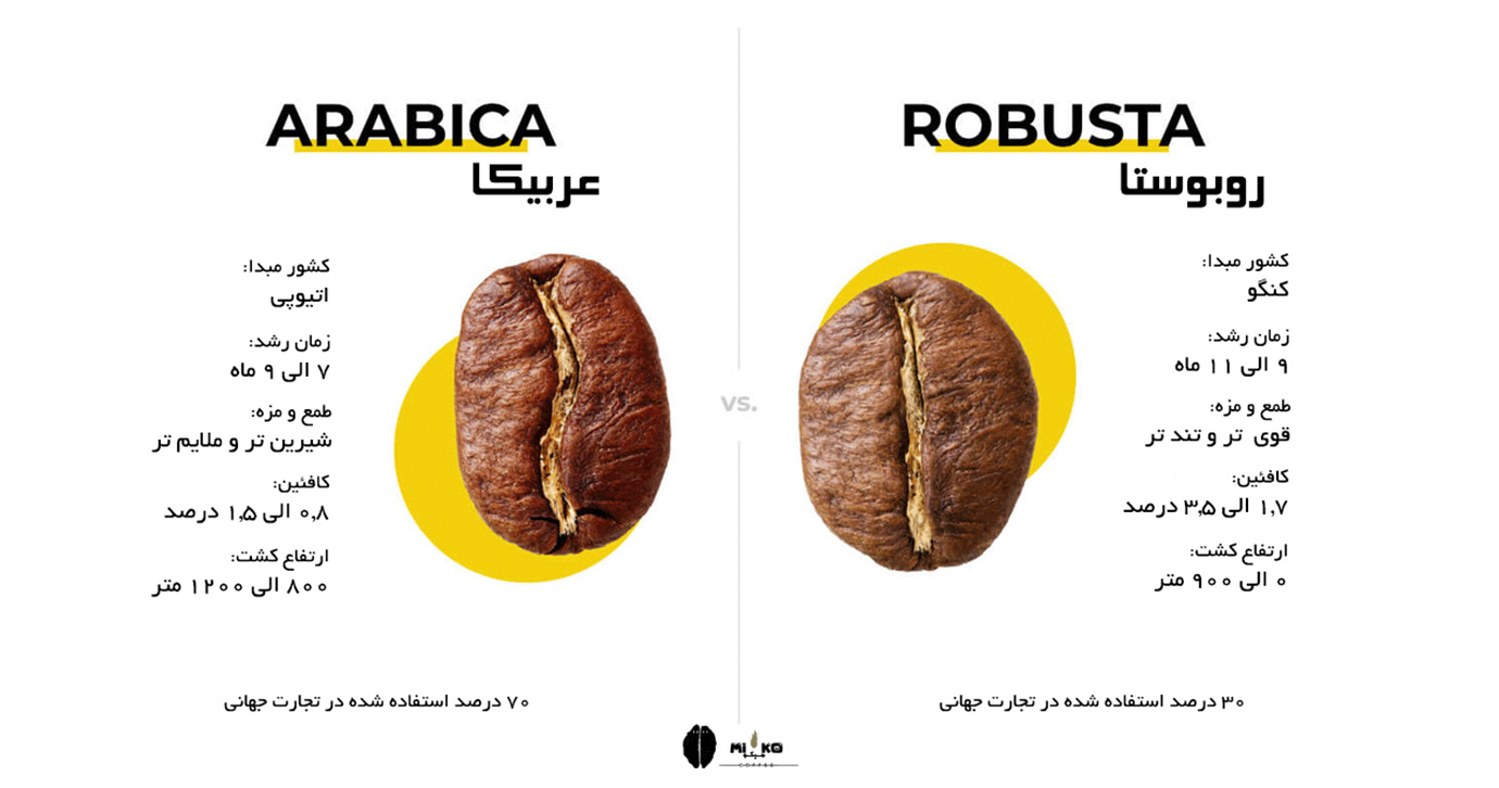 تفاوتهای قهوه عربیکا و قهوه روبوستا