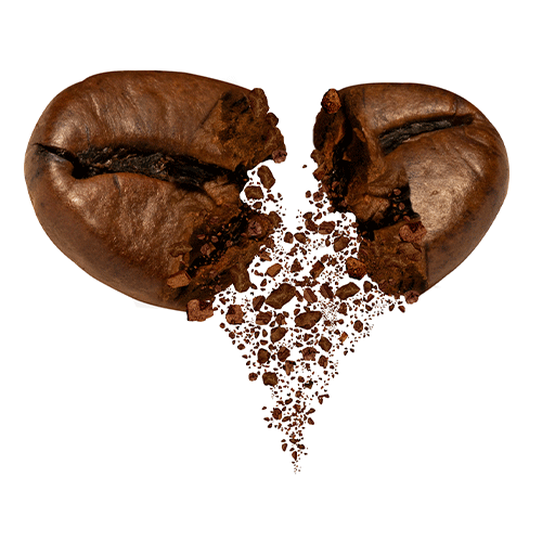 قهوه عربیکا چیست؟ | آشنایی با قهوه عربیکا